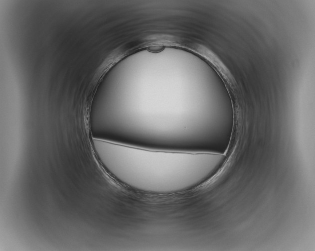 X0000116420857200912081158