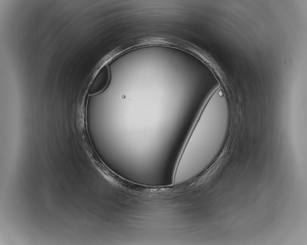 X0000116420858200912081158