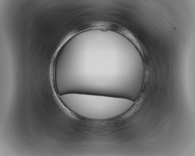 X0000116420859200912081158