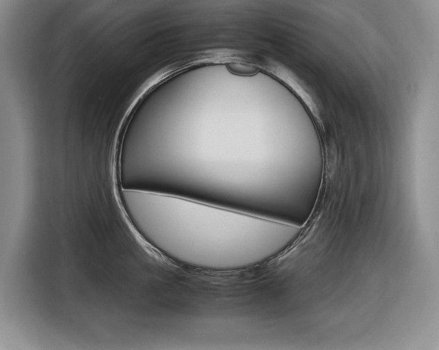 X0000116420861200912081158