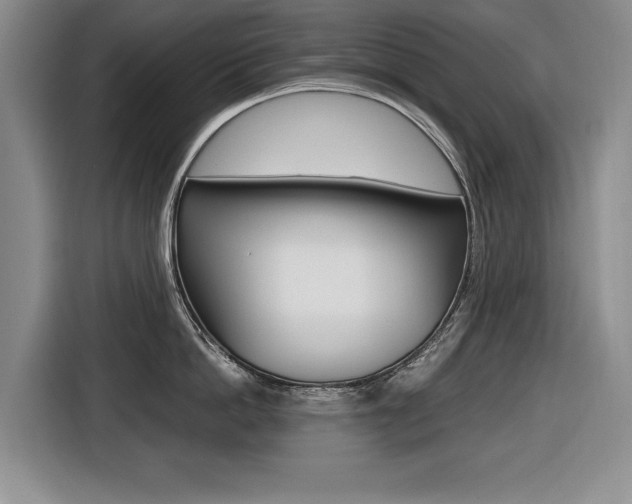X0000116420862200912081158