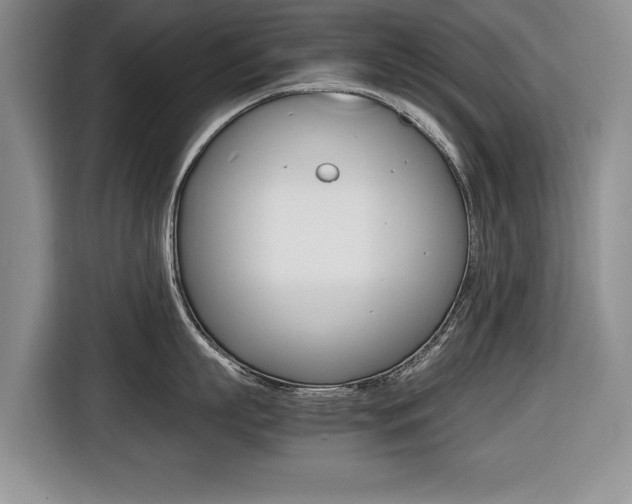 X0000116420863200912081158