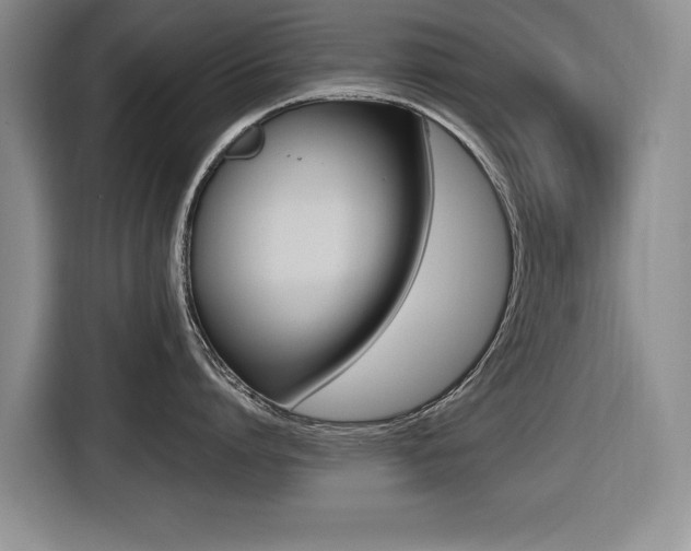 X0000116420864200912081158