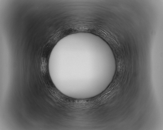 X0000116420866200912081158