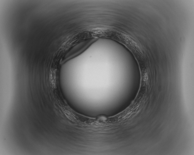 X0000116420868200912081158
