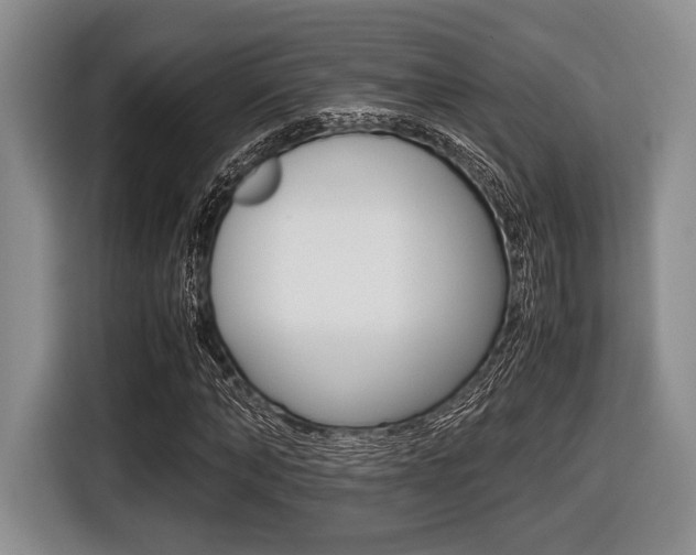 X0000116420870200912081158