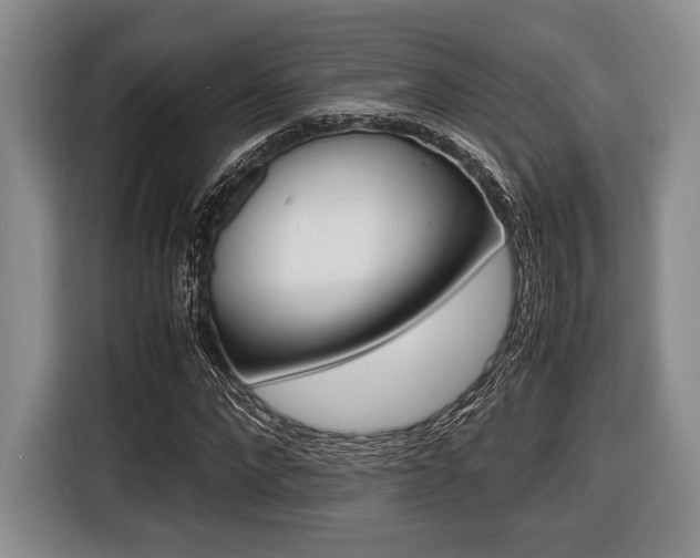 X0000116420872200912081157