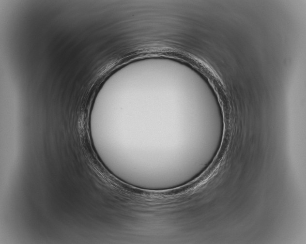 X0000116420873200912081157