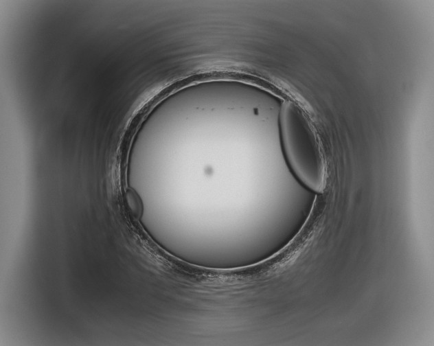 X0000116420877200912081157