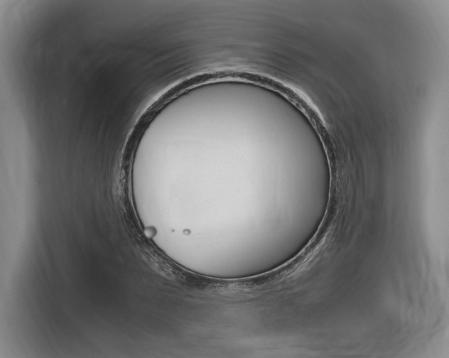 X0000116420879200912081157