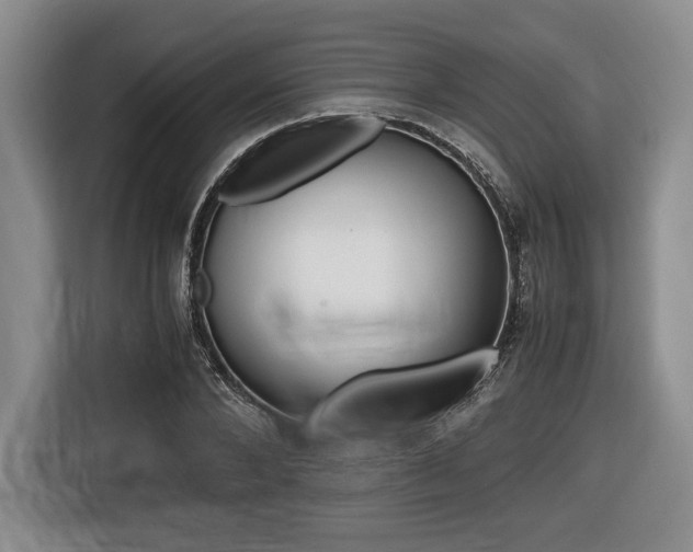 X0000116420880200912081157