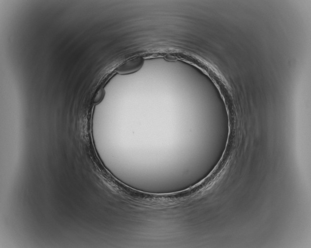 X0000116420881200912081157