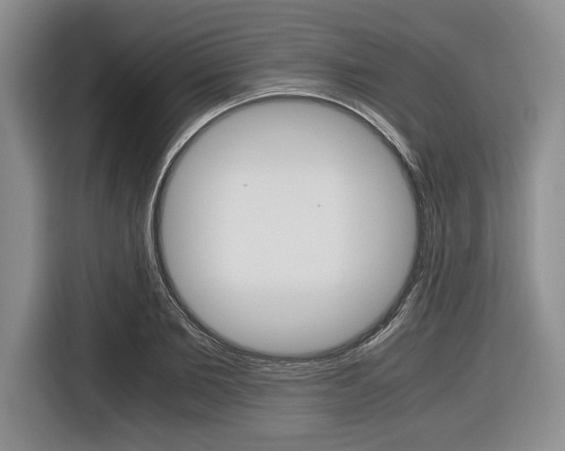 X0000116420885200912081157