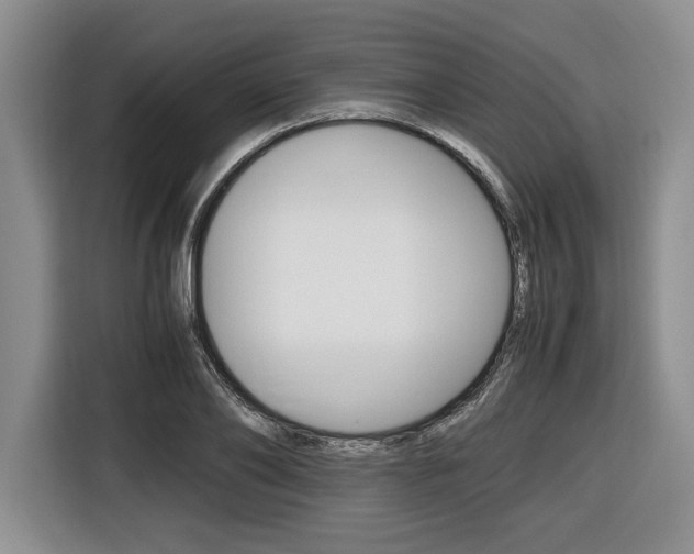 X0000116420886200912081157