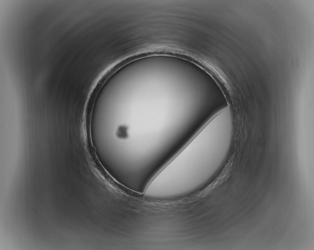 X0000116420888200912081157