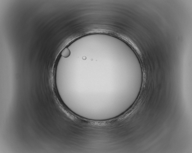 X0000116420890200912081157