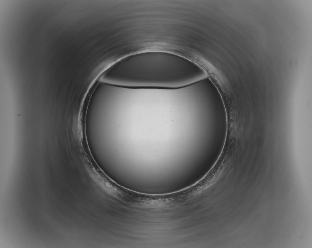 X0000116420892200912081157