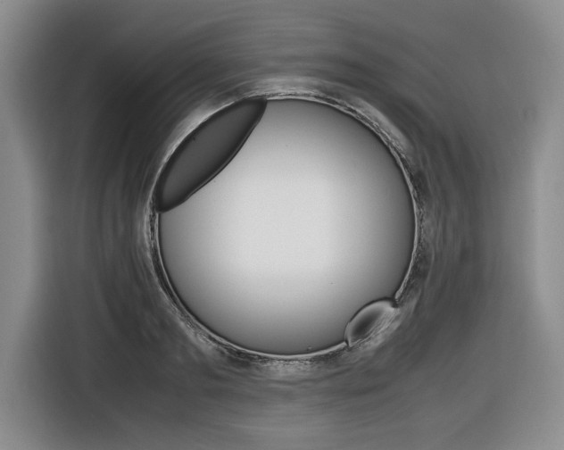 X0000116420893200912081157