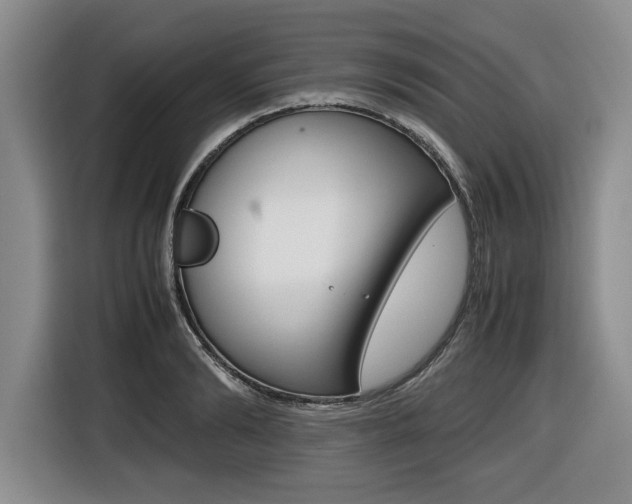 X0000116420894200912081157