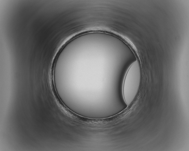 X0000116420895200912081157