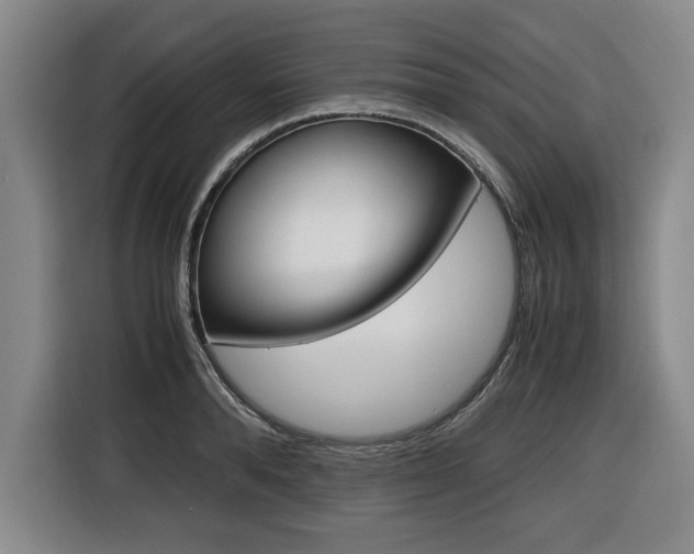 X0000116420896200912081157