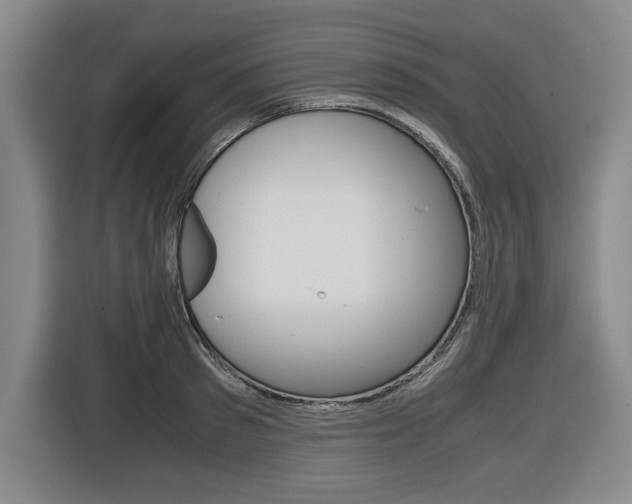X0000116420897200912081157
