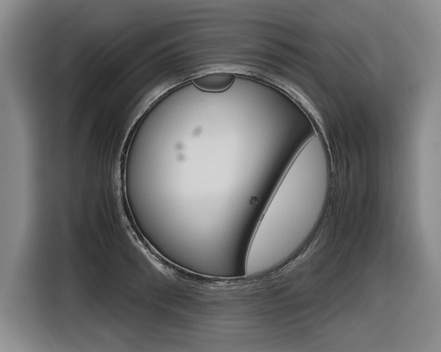 X0000116420898200912081157