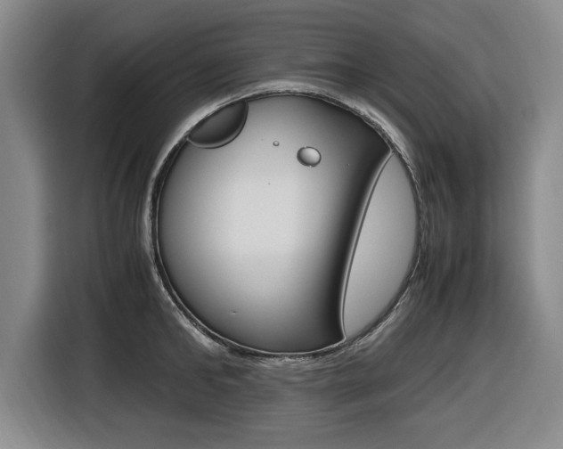 X0000116420902200912081157