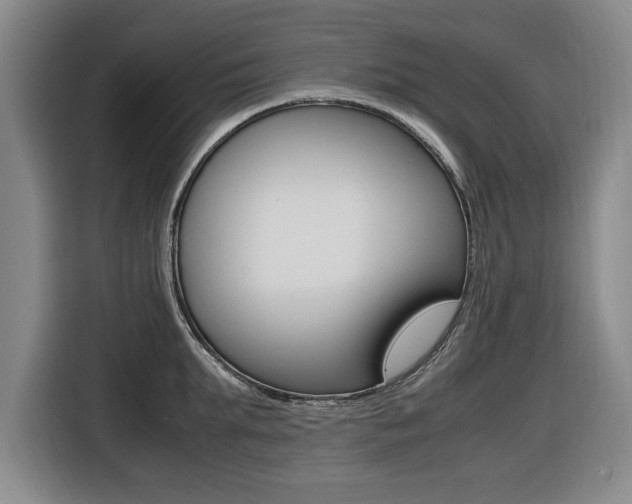 X0000116420903200912081157
