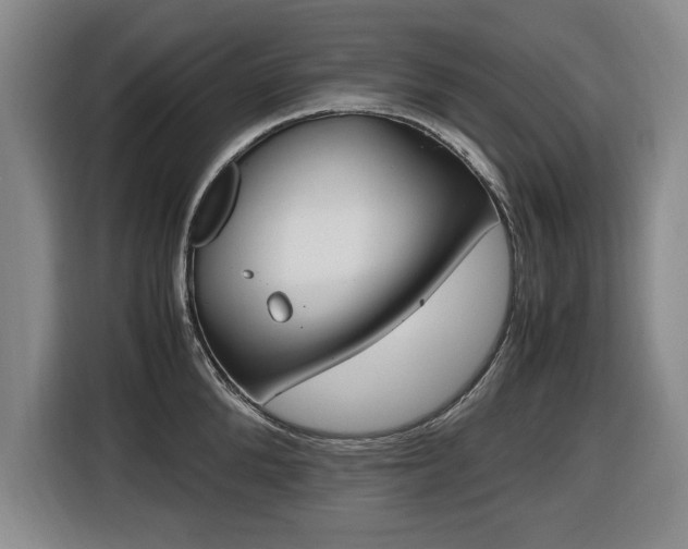 X0000116420904200912081157