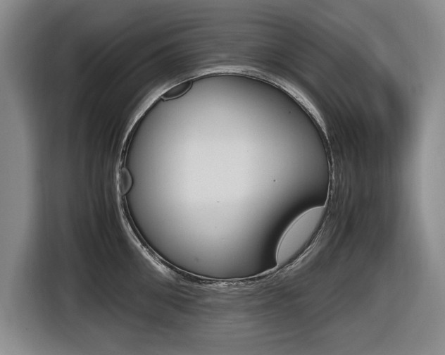 X0000116420906200912081157