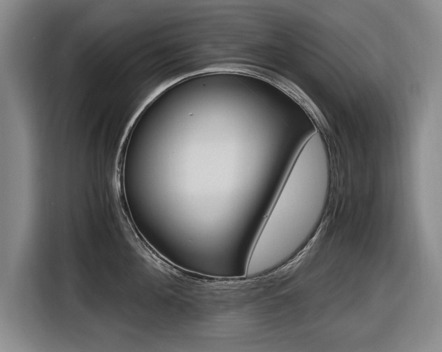 X0000116420908200912081157