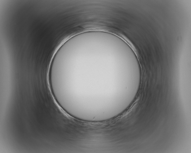 X0000116420909200912081157