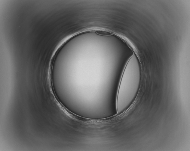 X0000116420910200912081157