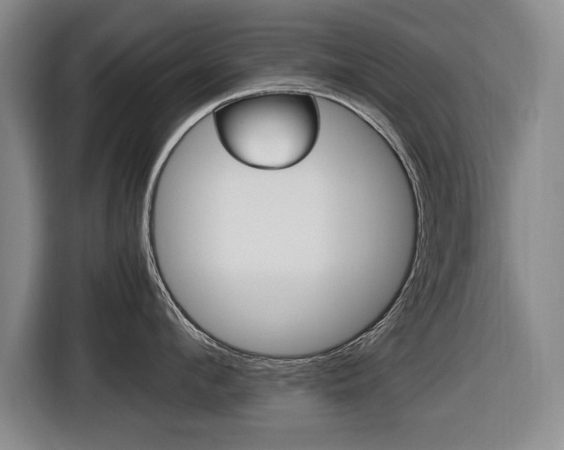 X0000116420912200912081157