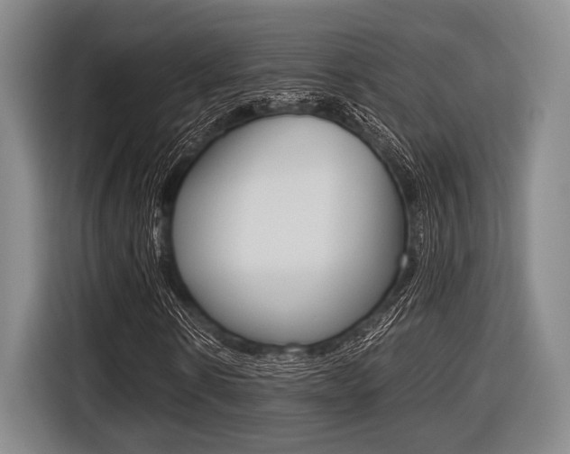 X0000116420914200912081156
