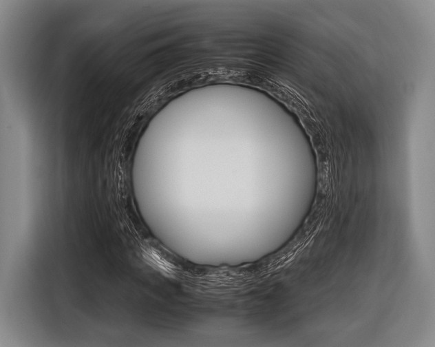 X0000116420917200912081156