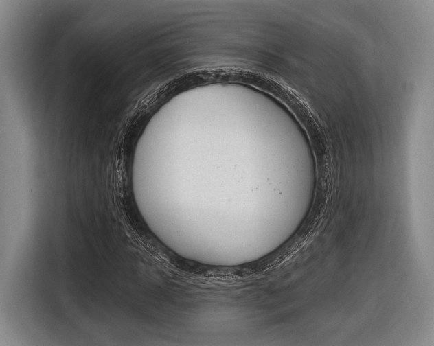X0000116420918200912081156