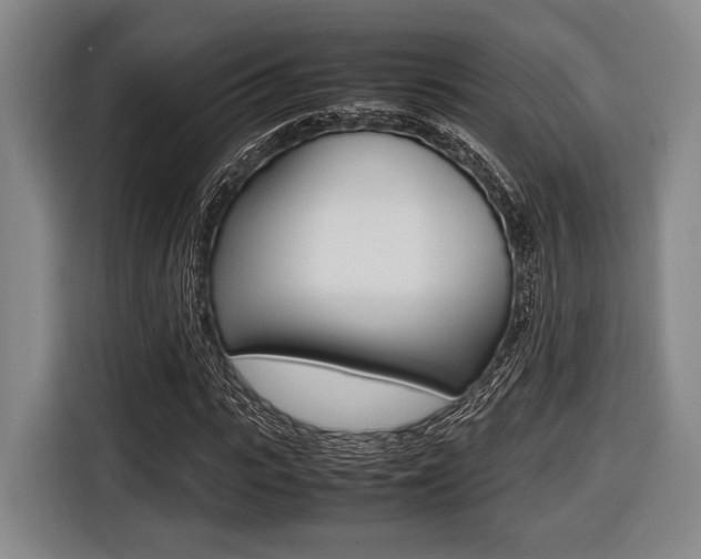 X0000116420919200912081156