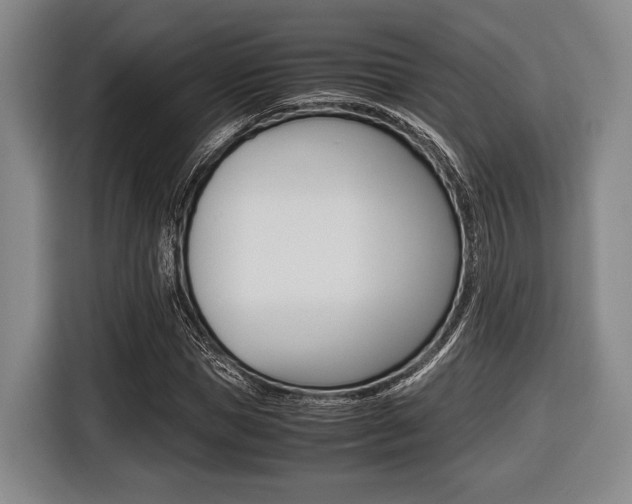 X0000116420921200912081156