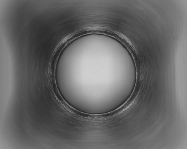 X0000116420922200912081156