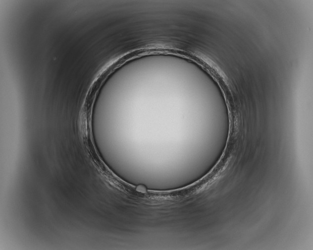 X0000116420925200912081156