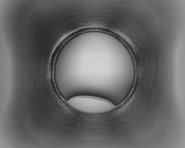 X0000116420927200912081157