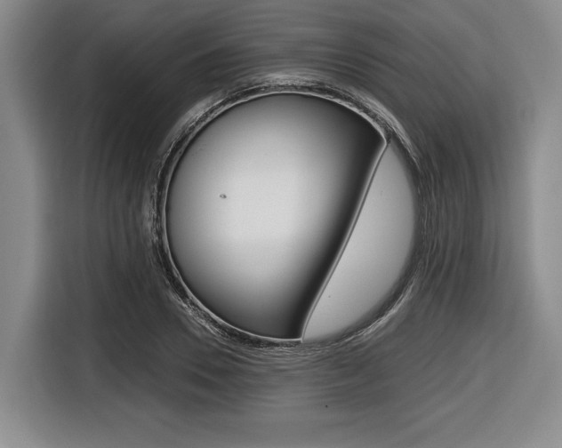 X0000116420930200912081157
