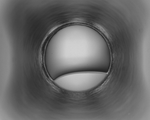 X0000116420931200912081157