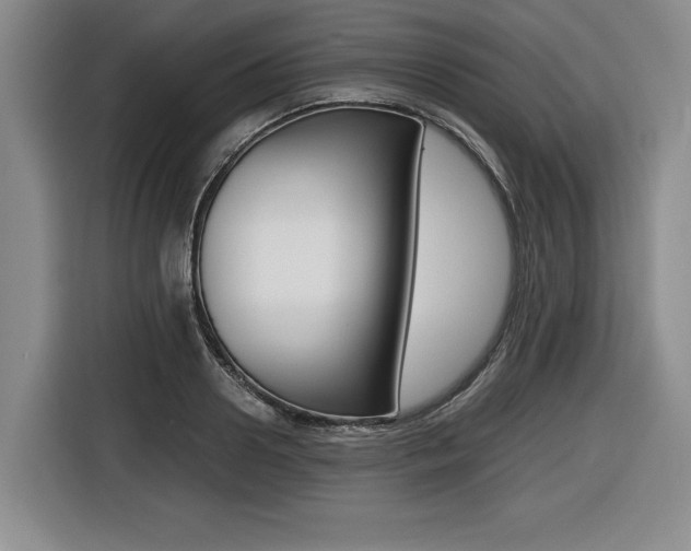 X0000116420938200912081157