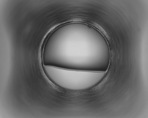 X0000116420939200912081157