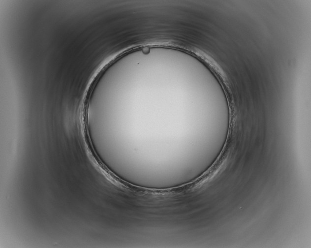 X0000116420941200912081157