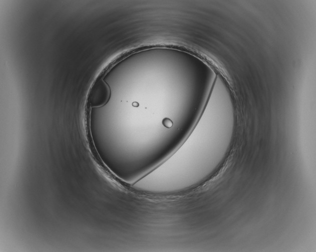 X0000116420942200912081157