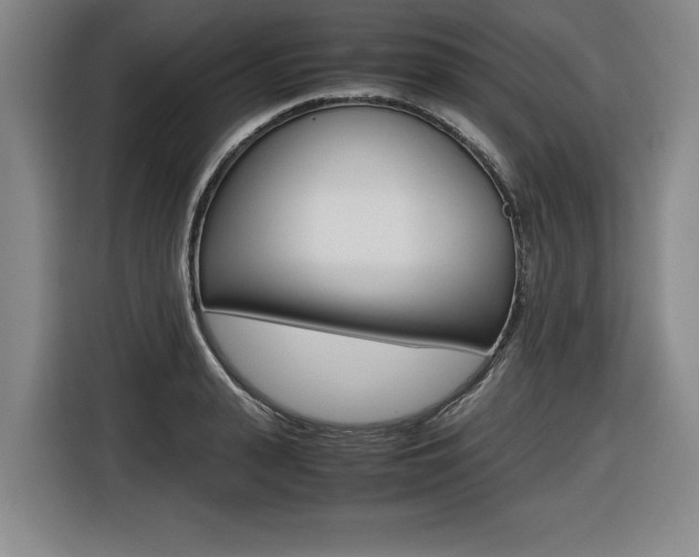 X0000116420943200912081157